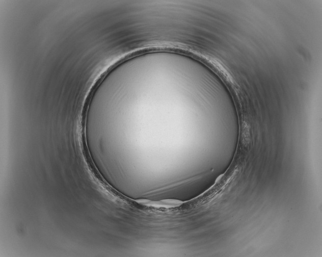 X0000112060895200908181155