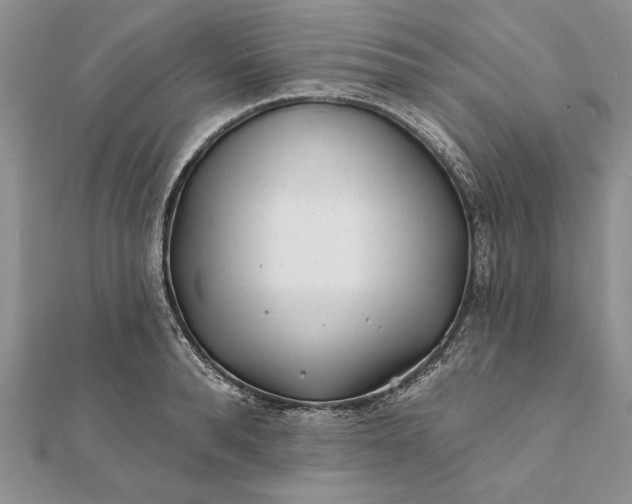 X0000112060896200908181155