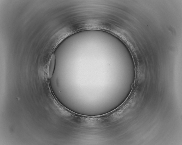 X0000112060897200908181155