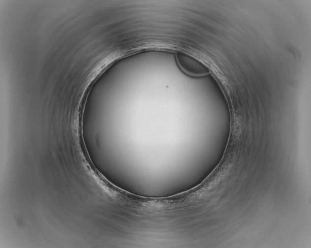 X0000112060898200908181155