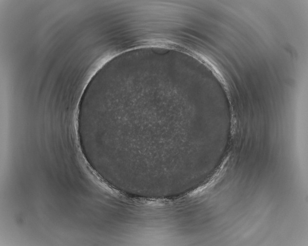 X0000112060899200908181155