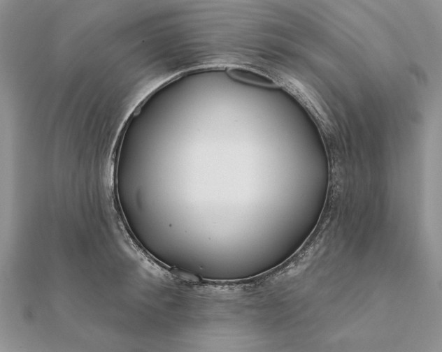 X0000112060900200908181155