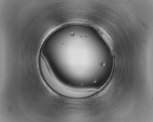 X0000112060901200908181155