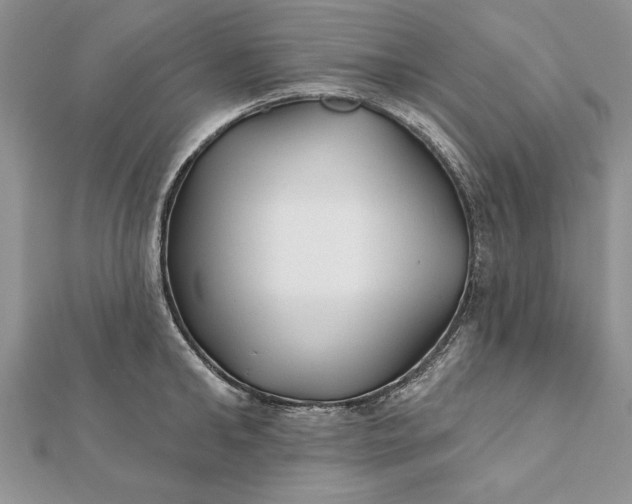 X0000112060902200908181155