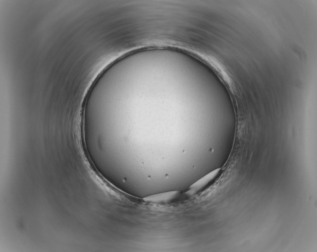 X0000112060903200908181155