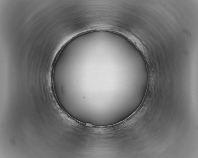 X0000112060904200908181155