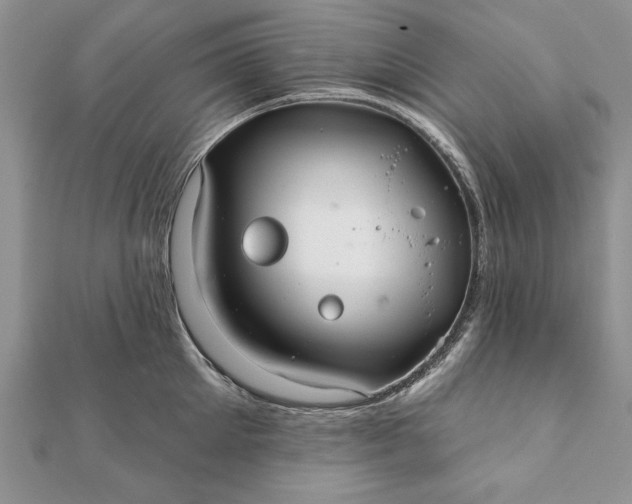 X0000112060905200908181155