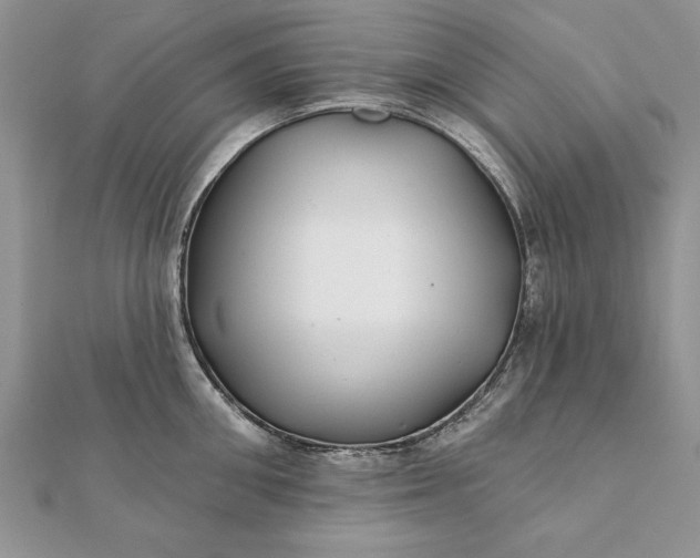 X0000112060906200908181155