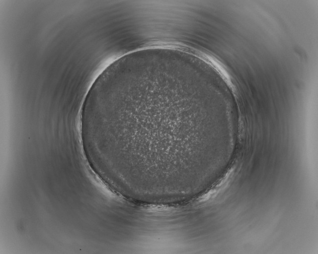 X0000112060907200908181155