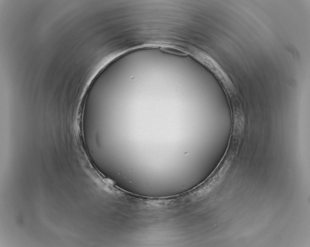 X0000112060908200908181155