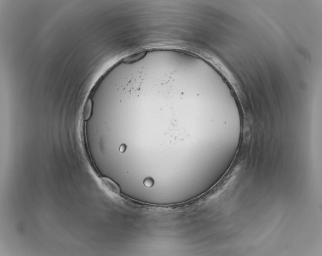 X0000112060909200908181155