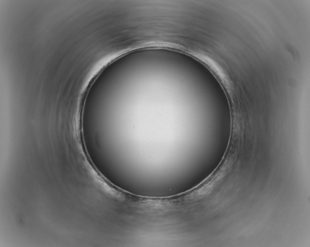 X0000112060910200908181155