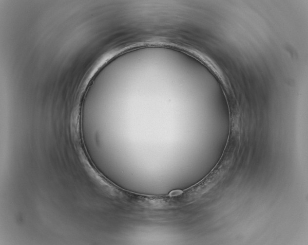 X0000112060911200908181155