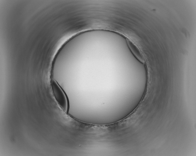 X0000112060912200908181155