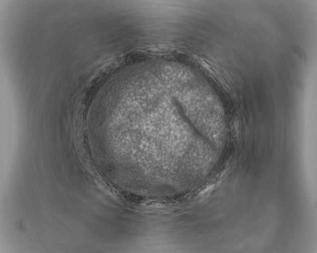 X0000112060913200908181154