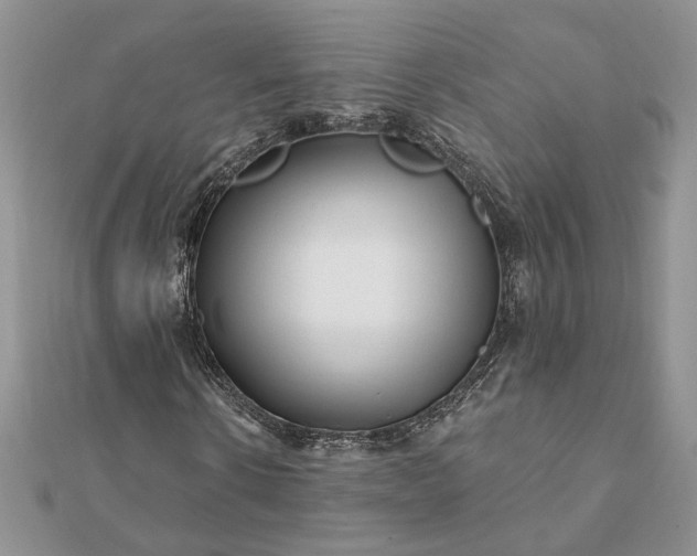 X0000112060914200908181154