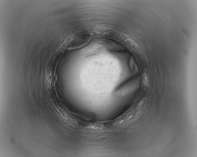 X0000112060915200908181154