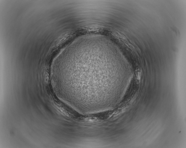 X0000112060916200908181154