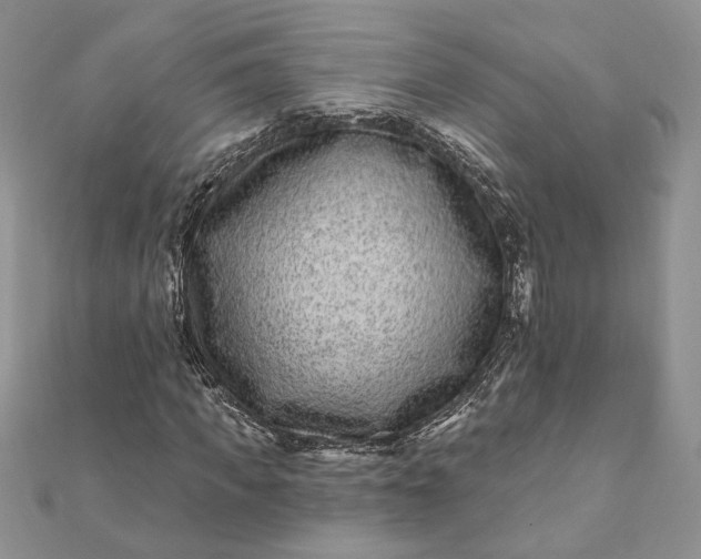 X0000112060917200908181154