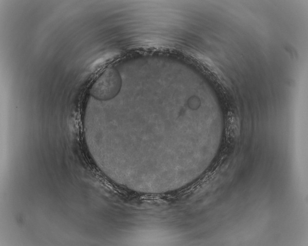 X0000112060918200908181154