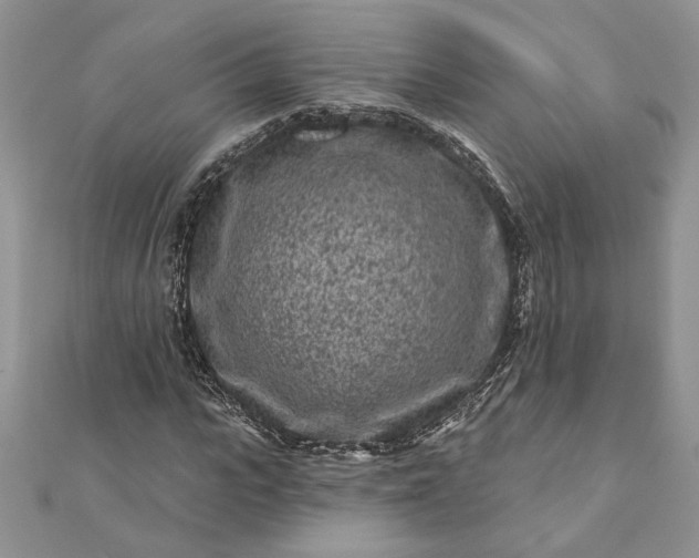 X0000112060919200908181154