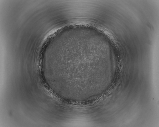 X0000112060920200908181154