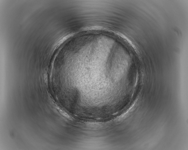 X0000112060921200908181154