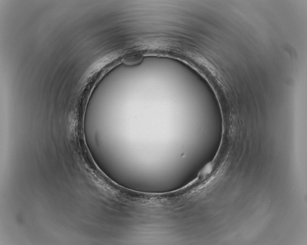 X0000112060922200908181154