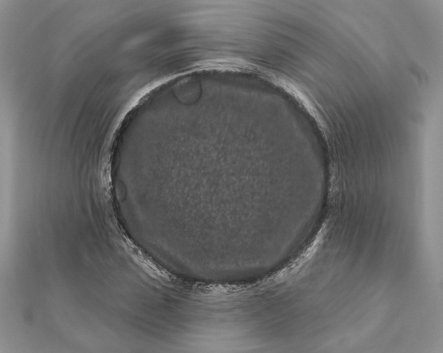 X0000112060923200908181154