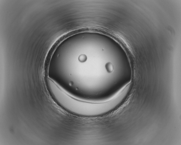 X0000112060924200908181154