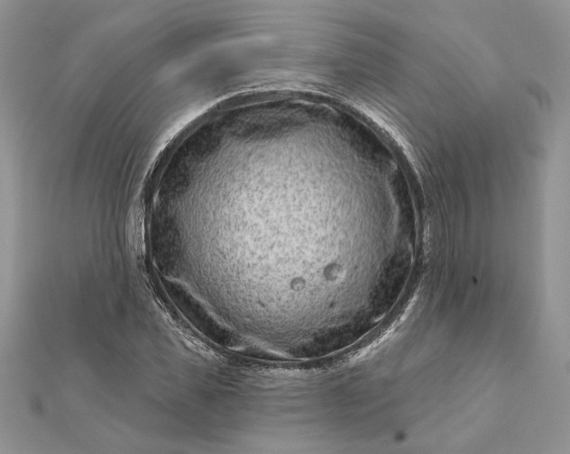 X0000112060925200908181154