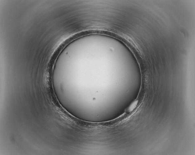 X0000112060926200908181154