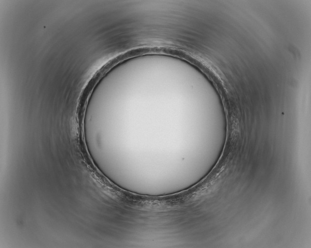 X0000112060927200908181154