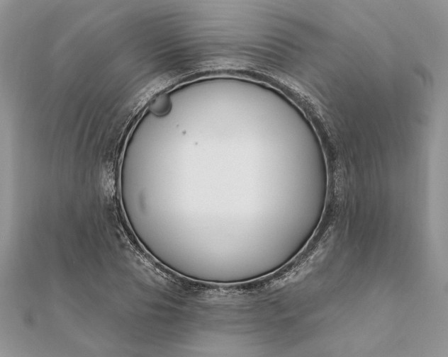 X0000112060929200908181154