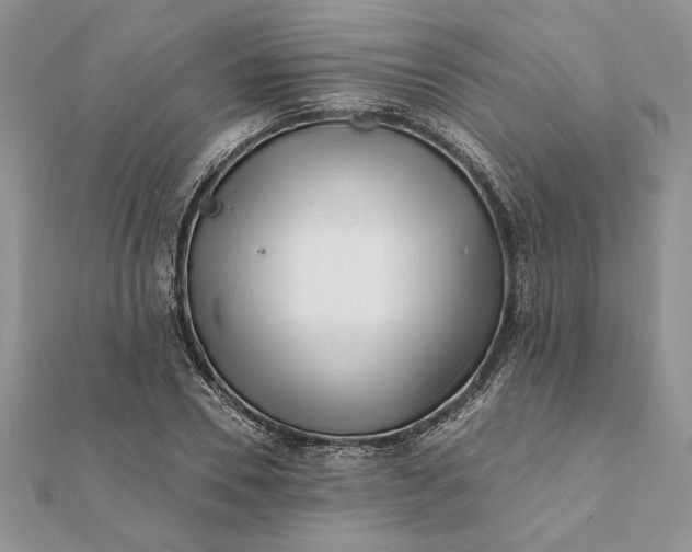 X0000112060930200908181154