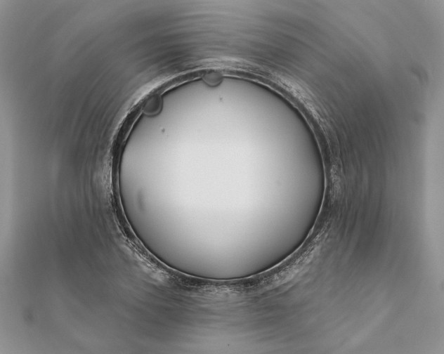 X0000112060931200908181154