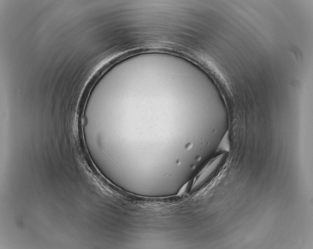 X0000112060932200908181154