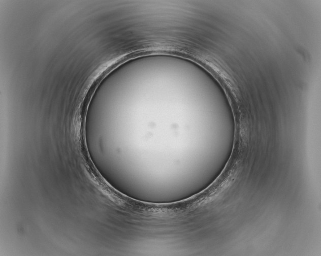 X0000112060933200908181154