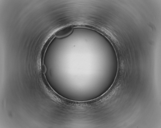 X0000112060934200908181154