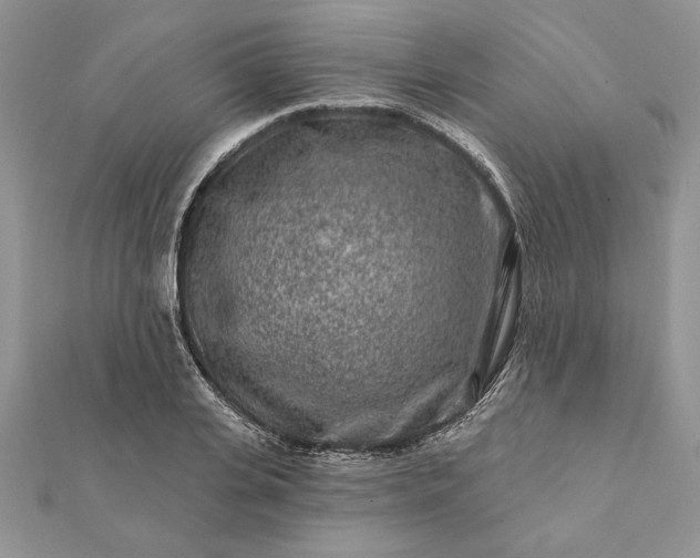 X0000112060935200908181154