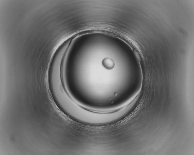 X0000112060936200908181154