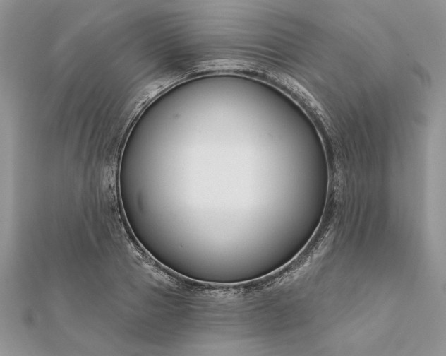 X0000112060937200908181154