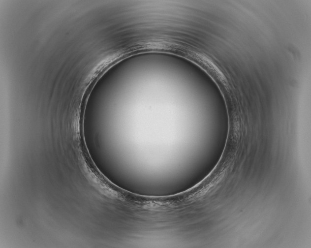 X0000112060938200908181154