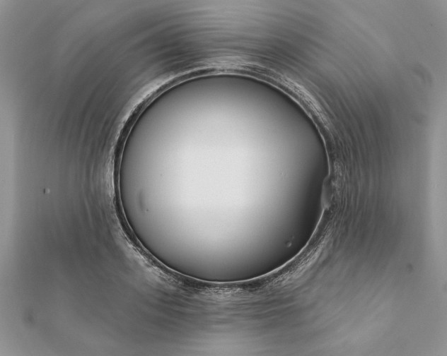 X0000112060939200908181154