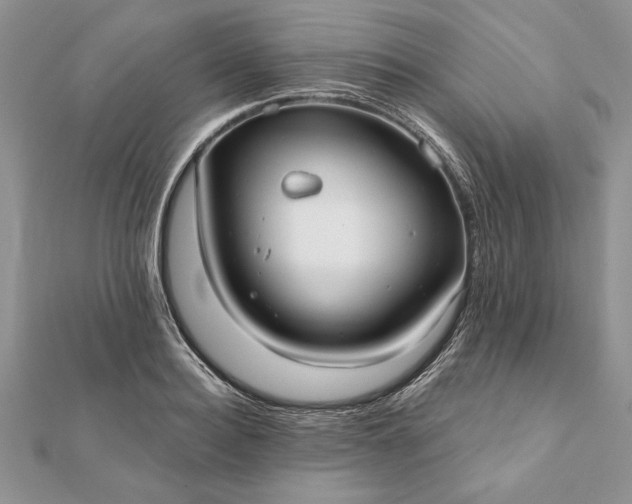 X0000112060940200908181155