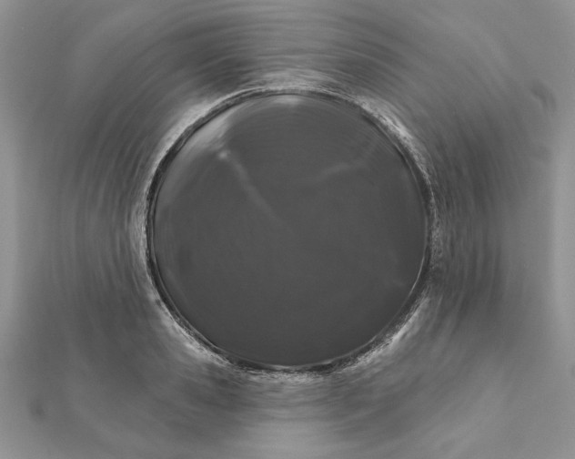 X0000112060941200908181155