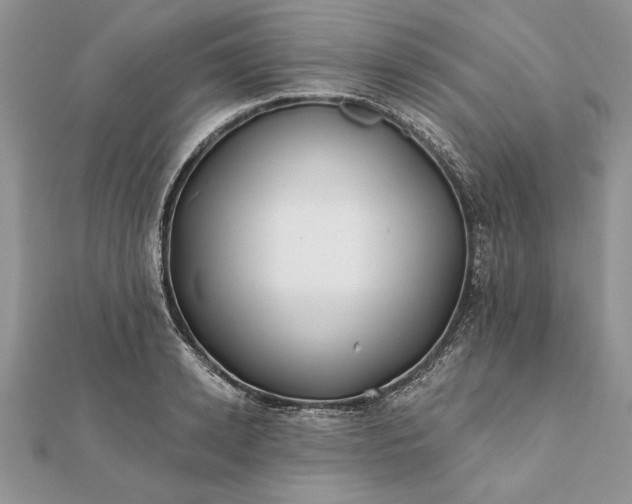 X0000112060942200908181155