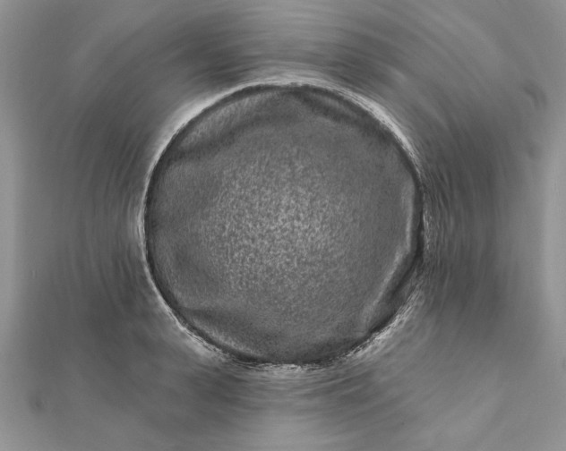 X0000112060943200908181155