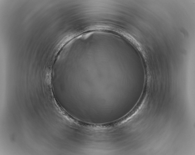 X0000112060945200908181155