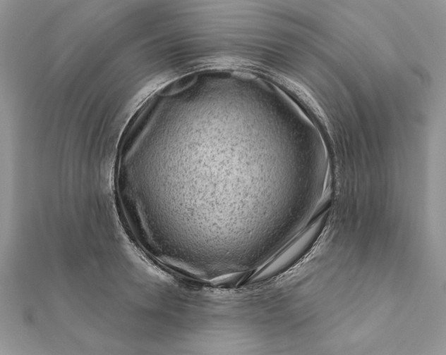 X0000112060946200908181155